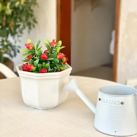 Monolocale Bouganville - Lo Stagnone Isole Egadi Holiday home Marsala